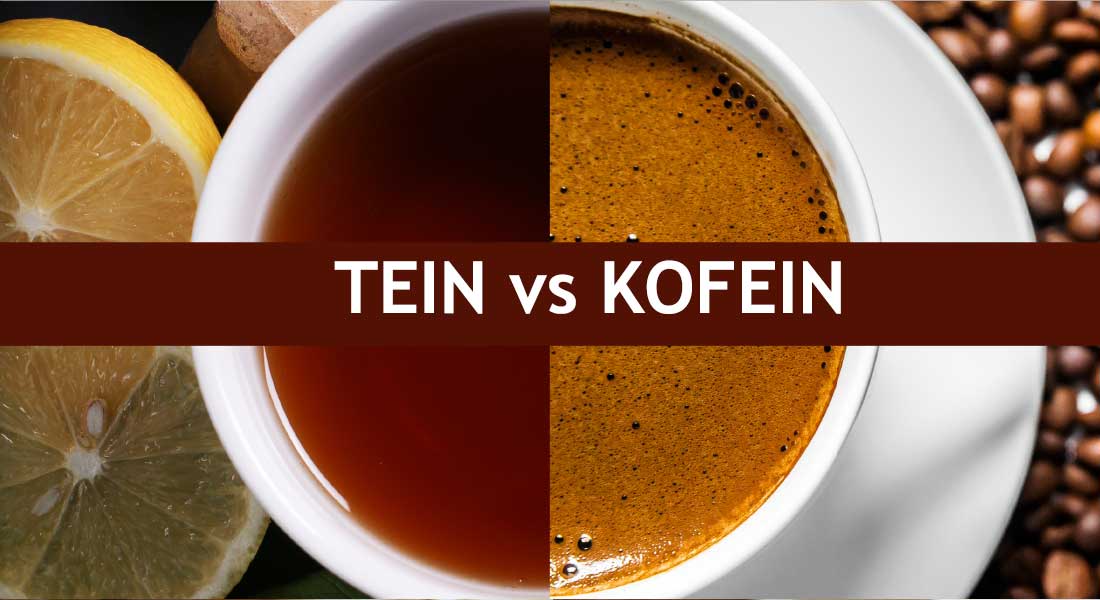 tein vs kofein