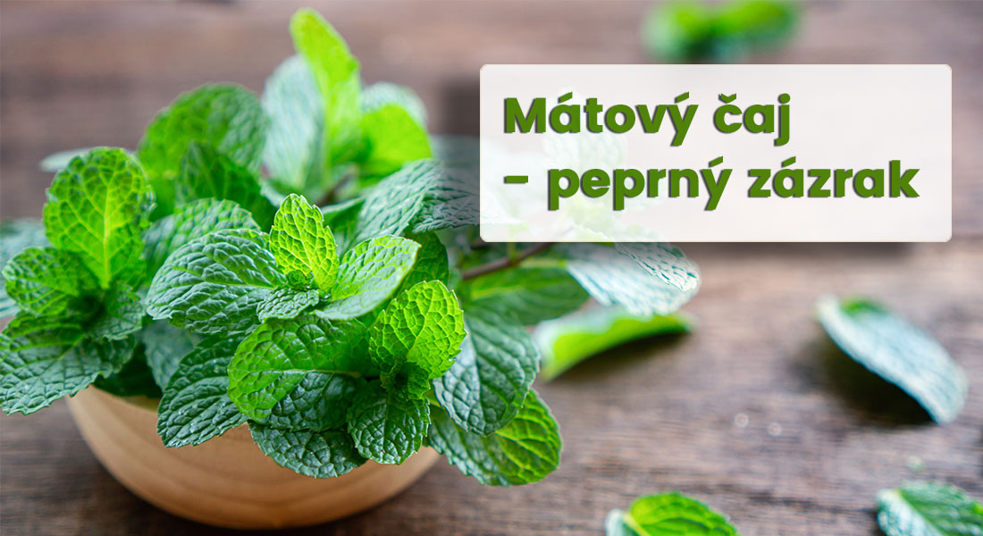 Mátový čaj - ideální na léto, ale neurazí ani v zimě. Proč je dobré jej pít?