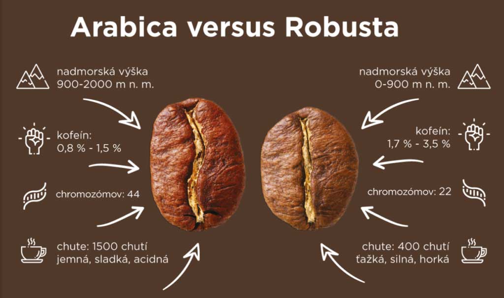 Arabica vs Robusta