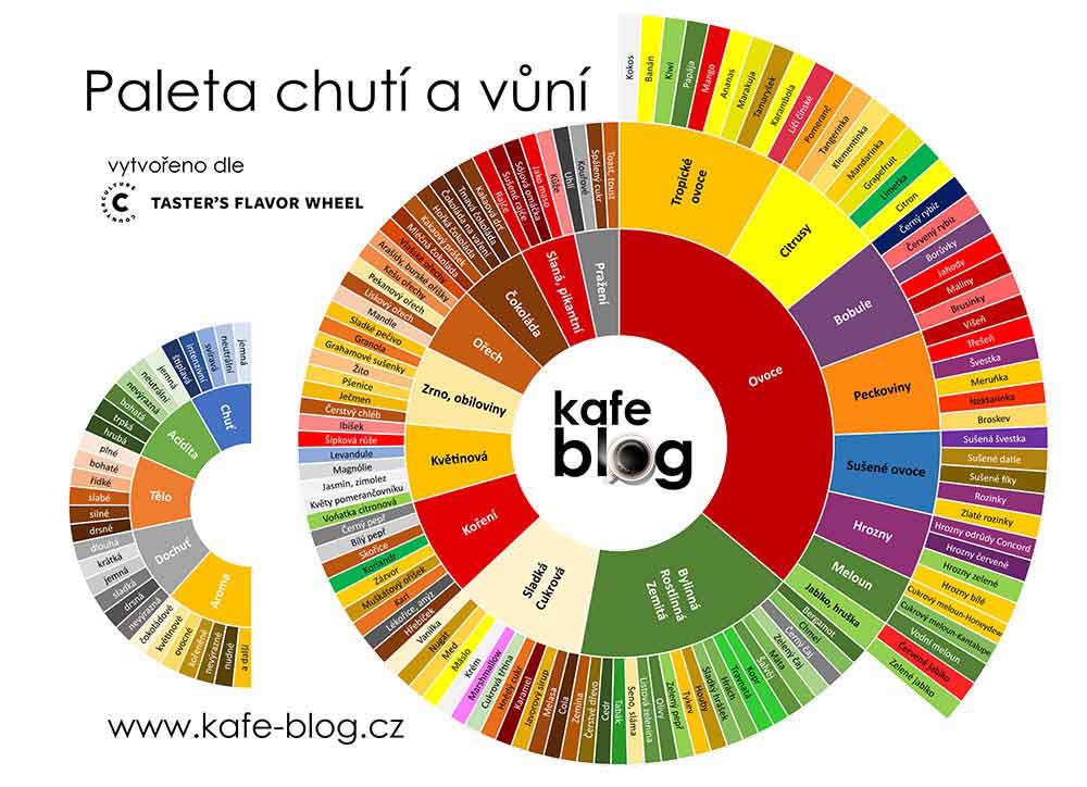 Věda o degustaci kávy: Pochopení chutí a vůní