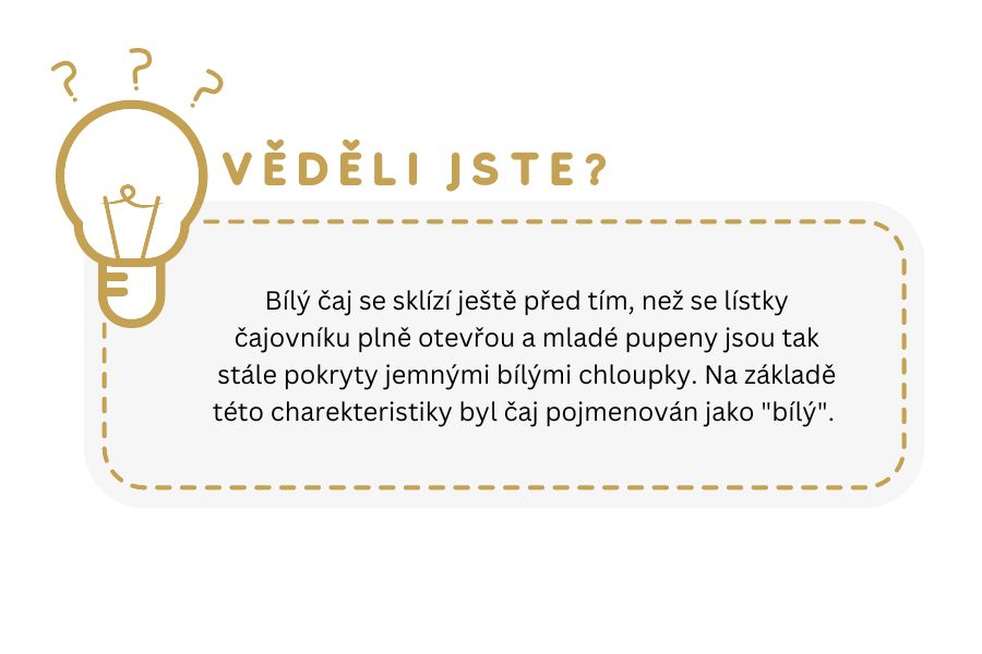 Věděli jste?
