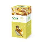 TEA MOMENTS Spicy Ginger 33g (22 sáčků, bylinný čaj)